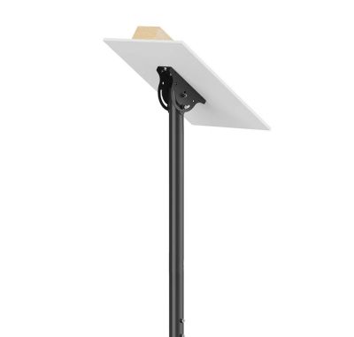 Стойка Neomounts Flat Screen Ceiling Mount (Height: 250-300 cm)